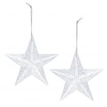 Artikel Stern zum Hängen Klar mit Glimmer 9,5cm 12St