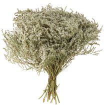 Artikel Strandflieder Statice Tatarica Trockenblumen Natur 2kg