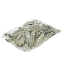 Artikel Strobus Zapfen Deko Apfelgrün Weiß gewaschen 15-20cm 50 St