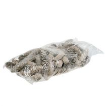 Artikel Strobus Zapfen 15cm - 20cm weißgewaschen 50 St