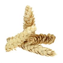 Artikel Strobus gebleicht 15cm-20cm 50 St