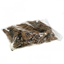 Artikel Kiefernzapfen Weymouthskiefer Strobus Natur Gemischt 2,5kg