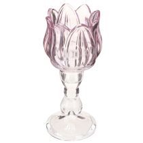 Artikel Teelichtglas Tulpe Teelichthalter Glas Lila Ø7cm H16cm 2St