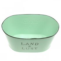 Artikel Blumenschale oval Mint Pflanzkübel Metall Vintage 27×18cm H12cm