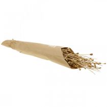 Artikel Trockenblumen Mohn-Kapseln Natur getrocknet wild Trockendeko Bund 100g