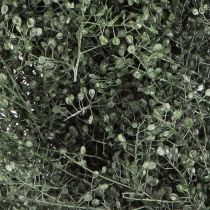 Artikel Trockenblumen Kranz Grün Metallic Lepidium Deko Ø33cm