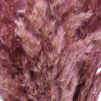 Artikel Trockengras Riedgras getrocknet Dekogras Rosa 70cm 10 St