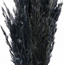 Artikel Trockengras Riedgras getrocknet Schwarz Dekogras 70cm 10 St