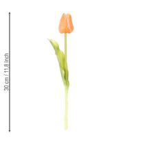 Artikel Künstliche Tulpe für Frühlingsdekoration Wohnzimmer und Küche mit lebensechtem Aussehen 30cm 7St
