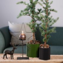 Artikel Übertopf Papier Dunkelgrün Blumentopf Ø19cm H14cm 3 St