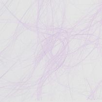 Artikel Vlies 8cm 25m Flieder
