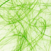 Artikel Vlies 8cm 25m Grün