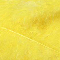 Artikel Vogelfedern Gelb zum Basteln Deko Federn 5cm–10cm 20g