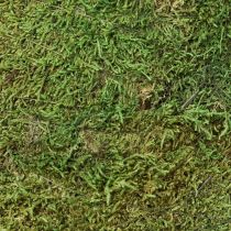 Artikel Weihnachtsbaum Moos Deko in Grün Natur Ø30cm H100cm