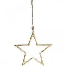 Artikel Weihnachtsdeko Stern, Adventsdeko, Stern Anhänger Golden B24,5cm
