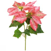 Artikel Weihnachtsstern Künstlich Rot Rosa L35cm 6St 2 Bund