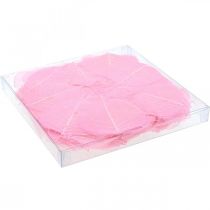 Artikel Skelettblätter Willowblätter skelettiert Rosa 5-9cm 200 St