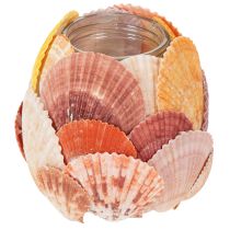 Artikel Teelichthalter maritim Windlicht echte Muscheln Deko für Badezimmer Urlaubstimmung 12cm