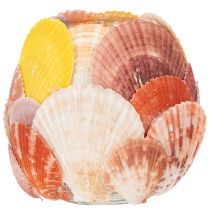 Artikel Teelichthalter maritim Windlicht echte Muscheln Deko für Badezimmer Urlaubstimmung 12cm