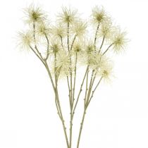 Artikel Xanthium Kunstblume Creme Herbstdeko 6 Blüten 80cm 3St
