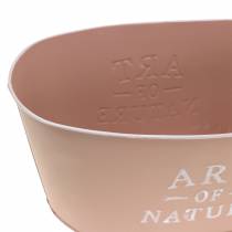 Artikel Blumenschale oval Zink Altrosa Übertopf 27×18cm H12,5cm