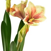 Artikel Amaryllis im Moosballen künstlich mit Rosa-Gelb Gemusterten Blüten – 45 cm – Exotische und stilvolle Dekoration
