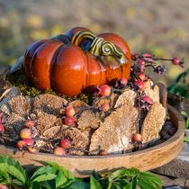 Artikel Baumschwamm Natur Deko Pilze getrocknet 6cm 1kg