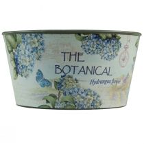 Artikel Übertopf Hortensien Blumenschale rund Kunststoff Ø21cm H11cm