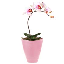 Artikel Blumentopf Plastik Vase Orchideentopf Pink H16,5cm 4St