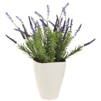 Artikel Blumentopf Plastik Orchideentopf Kunststoff Weiß H16,5cm 4St