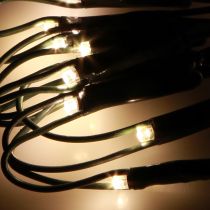 Artikel Lichternetz außen Buchsbaum Lichterkette 60 LED Ø35cm