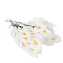 Artikel Calla mittel am Draht 50 St
