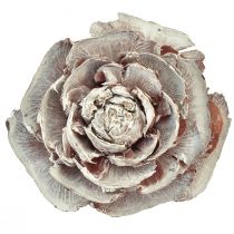 Artikel Zeder Zapfen geschnitten wie Rose Cedarrose 4-6cm weiß/natur 50 St