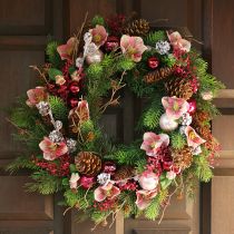 Artikel Eleganter Strauß Rosa Christrosen – 35 cm 6 St.