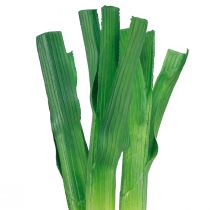 Artikel Deko Gemüse Lauchzwiebeln Grün Weiß Ø1cm L28cm 3 St