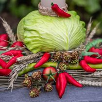 Artikel Deko Spargel Grün Künstliches Gemüse L22cm Ø1,5cm 3St