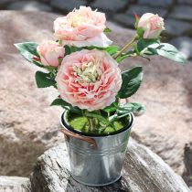 Artikel Deko-Rose im Topf, Romantische Seidenblumen, Rosa Pfingstrose