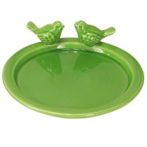 Artikel Deko Teller Vogeltränke Tischdeko Keramik Grün Ø20,5cm 2St