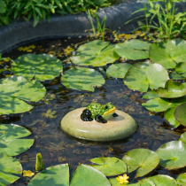 Artikel Deko Frosch Schwimmstein aus Keramik für Gartenteich und Wasserbecken 13cm