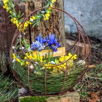 Artikel Drahtkorb Rost Metallkorb mit Henkel 22,5x11,5x26,5cm