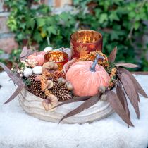 Artikel Eukalyptus Konserviert Eukalyptuszweige Rot, Braun 56cm 135g