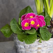 Artikel Geflochtener Korb als Stilvolle Blumendekoration im Wohnbereich Osterkorb 23cm 6St