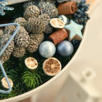 Artikel Getrocknete Orangenscheiben Pomeranze 1,5-2,5cm 300g