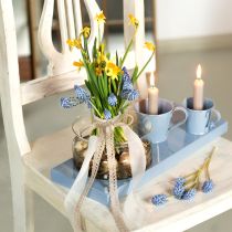 Artikel Glasschale Dekoschale Glas Schwimmschale Ø16cm H8cm