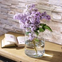 Artikel Glasvase klar Zylindrisch Ø12cm H20cm