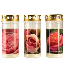 Artikel Grabkerzen mit Rosen Motiv Grabschmuck Ø7cm H18cm 3St