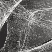 Artikel Halloween Deko Spinnennetz Spinnweben 70×100cm 150g