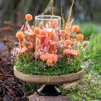 Artikel Holzschale mit Fuß Dekoschale Holz Natur Schwarz Ø25cm