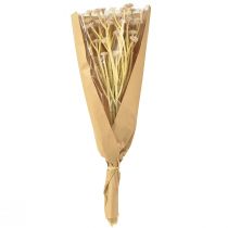 Artikel Italienische Strohblume Künstliche Blumen Rosa L28cm