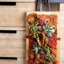 Artikel Kalix Pilz Natur lackiert 100 St